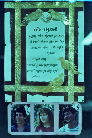 מחזור כח', 1981 / צלם: צבי קציר