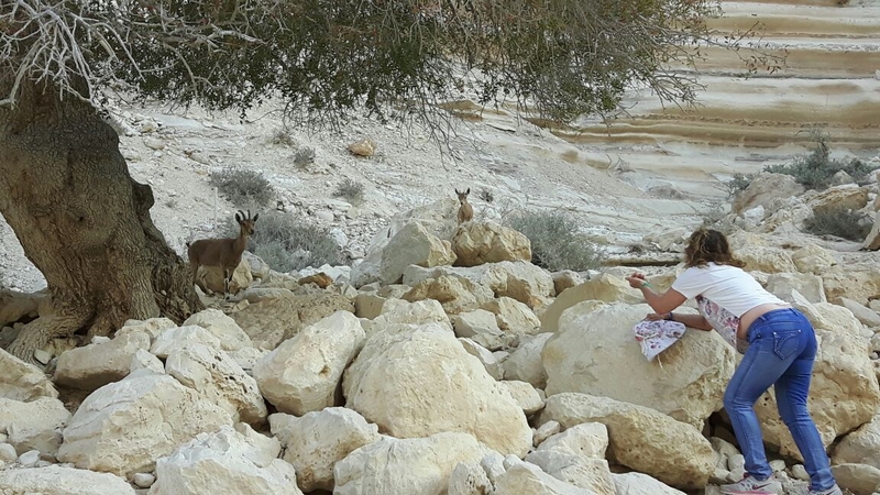 "טיולי ציפי" באזור שדה בוקר והנגב. שבת 19.11.2016