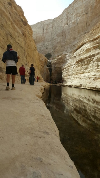 "טיולי ציפי" באזור שדה בוקר והנגב. שבת 19.11.2016