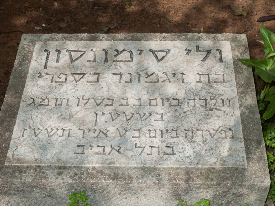 סימונסון ולי_מצבה