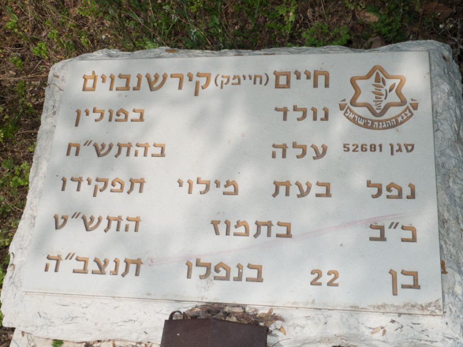 קירשנבוים חיים_מצבה