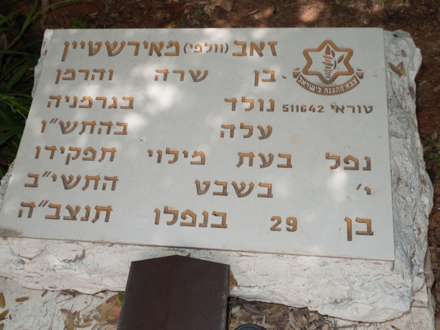 מאירשטיין זאב_מצבה