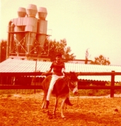 משק בית הספר, 1981