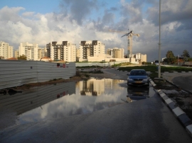 שלוליות / צלם: מיכה קציר