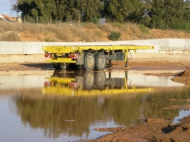 שלוליות / צלם: מיכה קציר