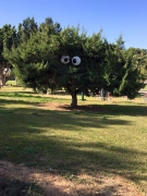 "עין לנצר צופייה..."
30.12.15
(שם הצלמת שמור במערכת)