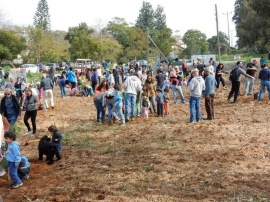 ט"ו בשבט, 2016 / צלם: מיכה קציר