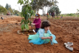 ט"ו בשבט, 2016 / צלם: מיכה קציר