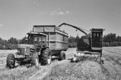 Netzer Sereni Field Crops